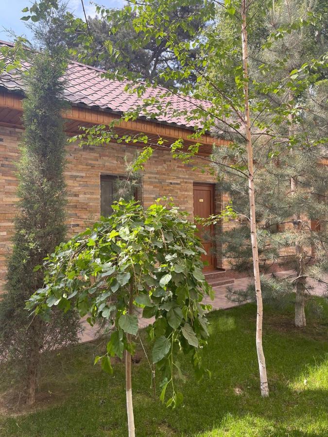 Hotel City Samarcanda Exterior foto